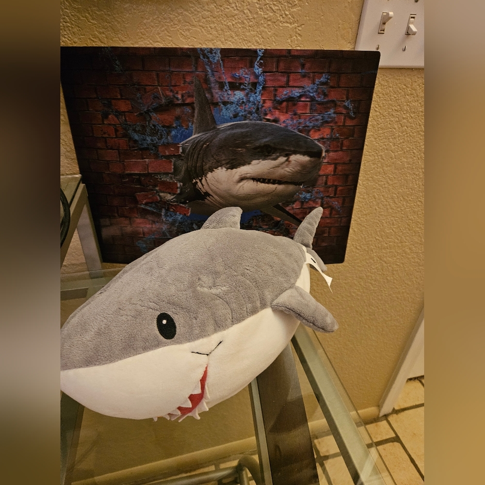 Shark plush and 3D shark picture